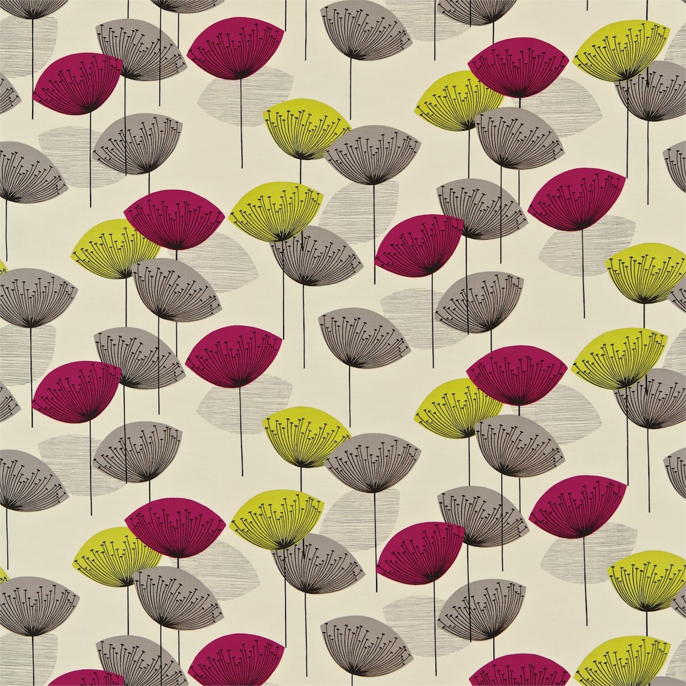 Dandelion clocks DOPNDA202