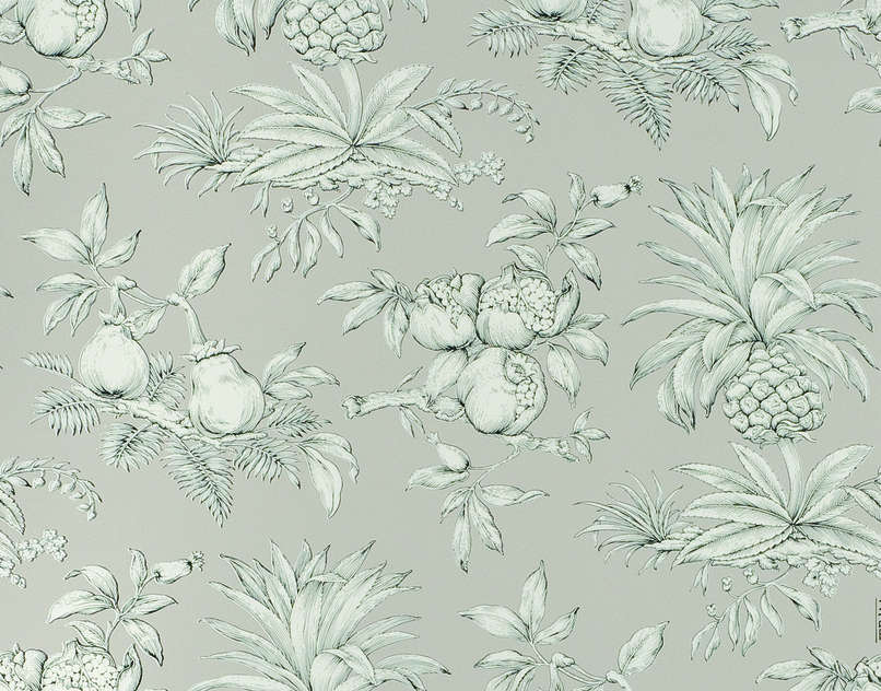 Dandy W4764006