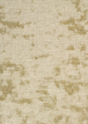 Dapple Velvet FD695J104