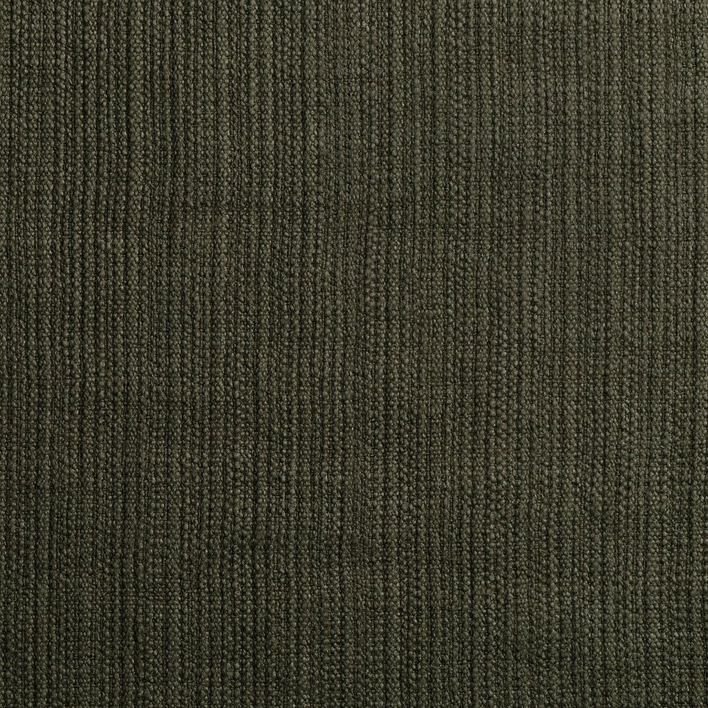 Bison BSN5-SA