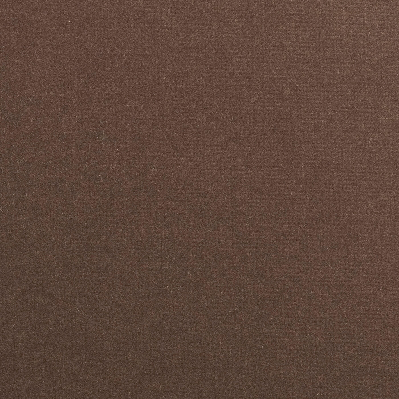 Adamo & Eva ADAMO-135