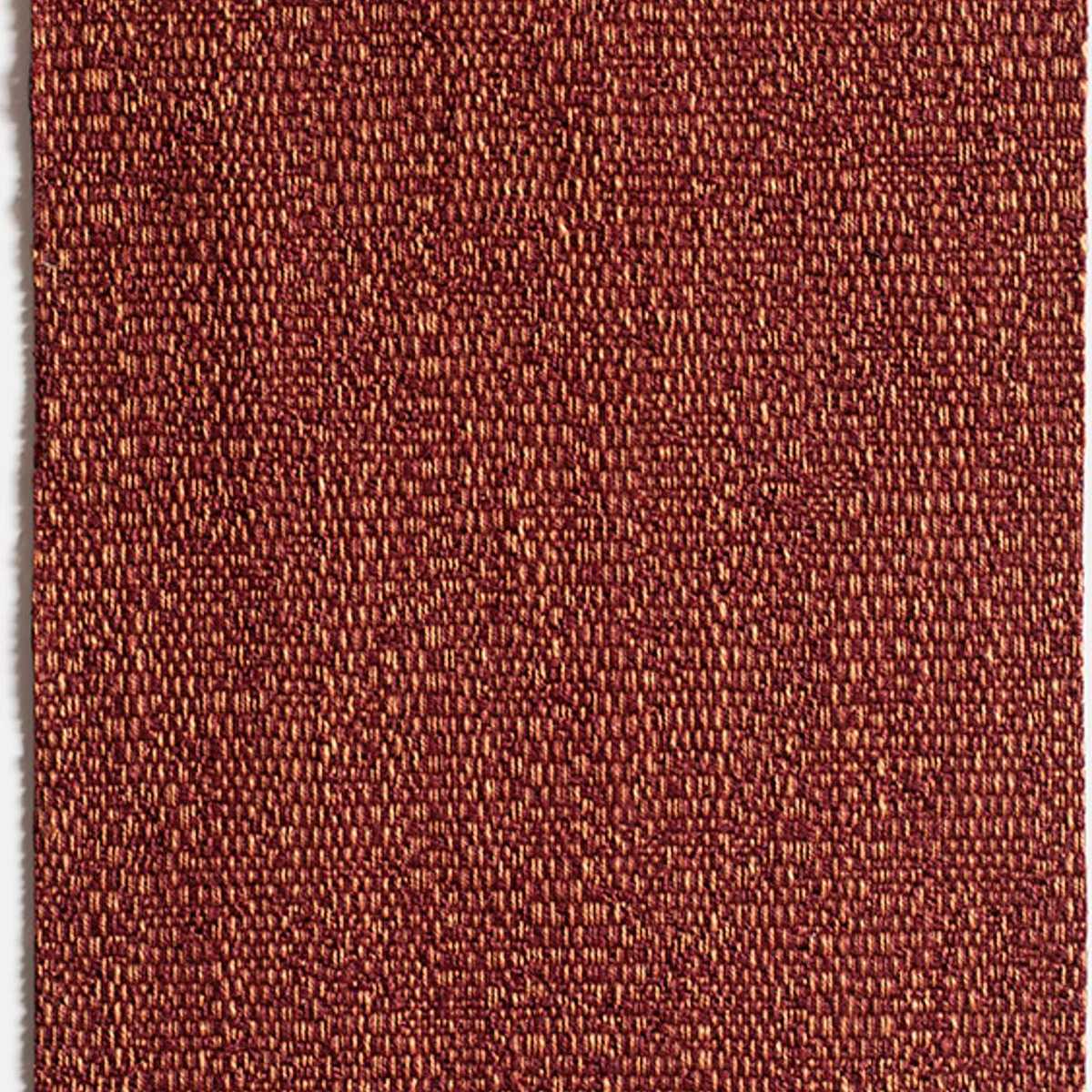 Aoxomoxoa 00T2502200-004