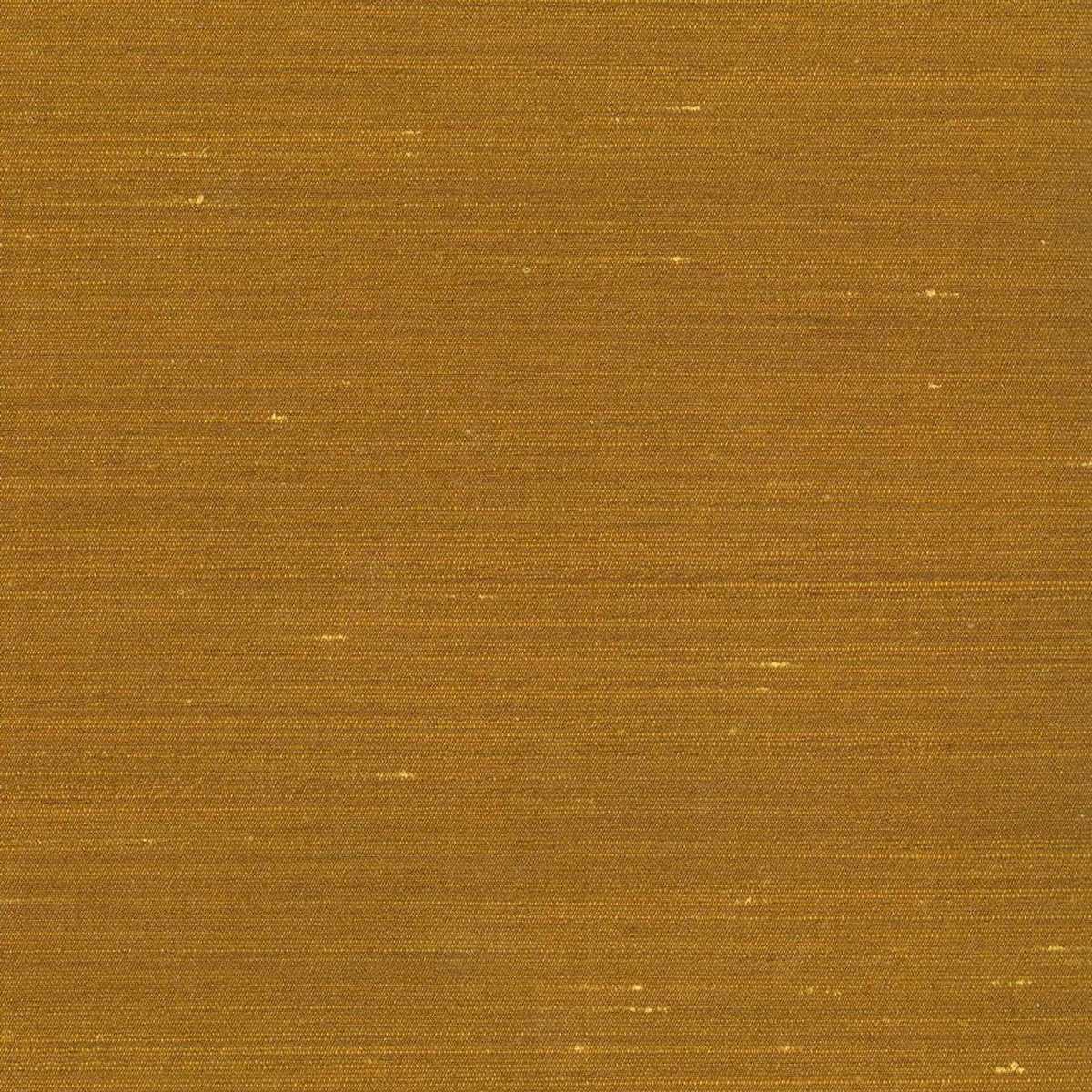 Drusilla 02D2200100-009