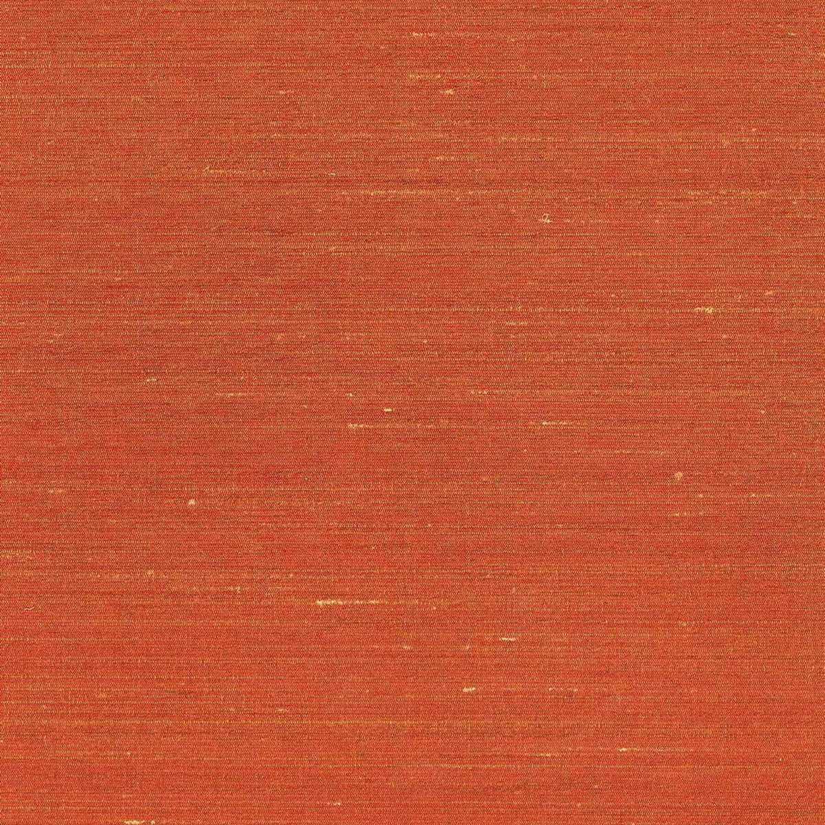 Drusilla 02D2200100-010