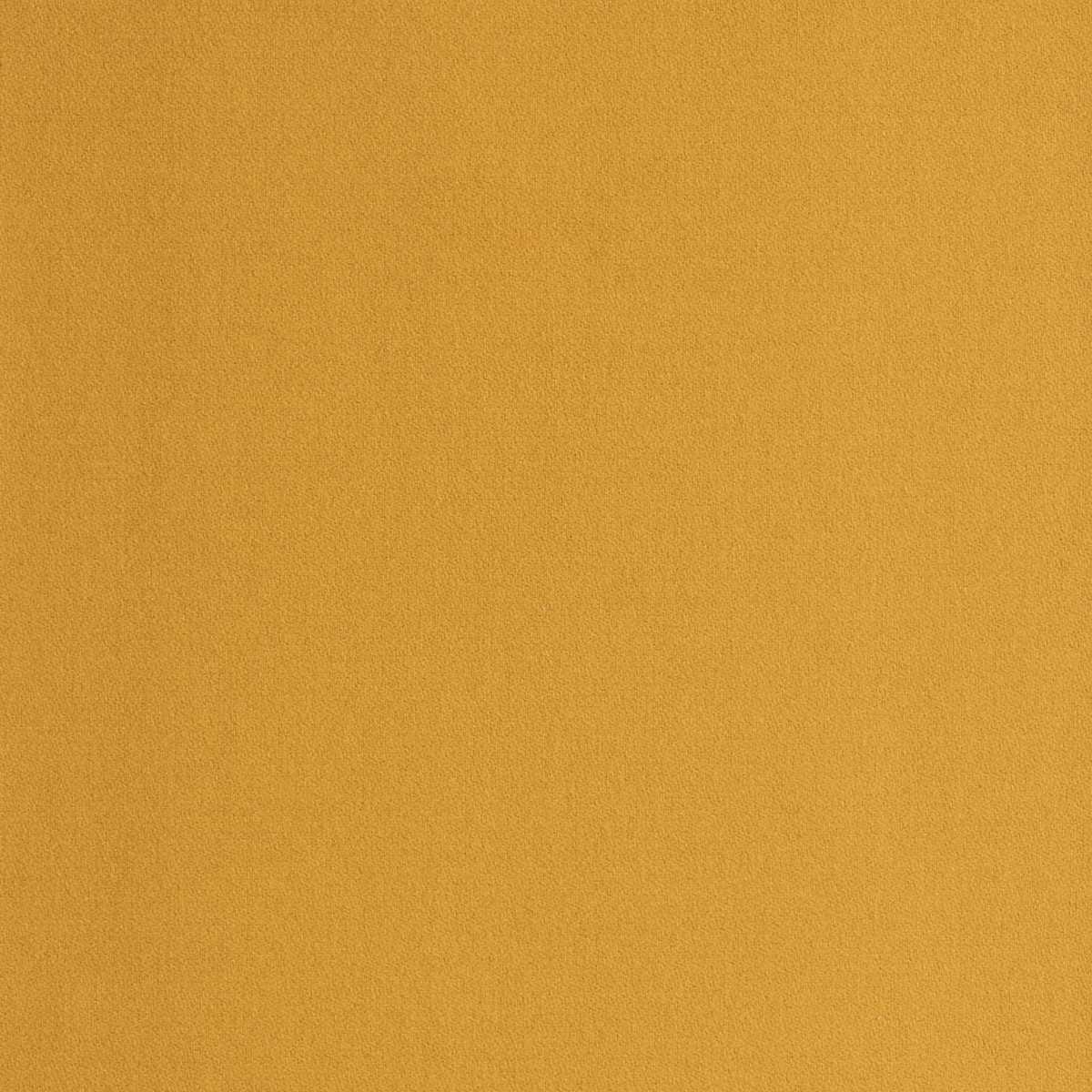Queneau 02D2500900-008