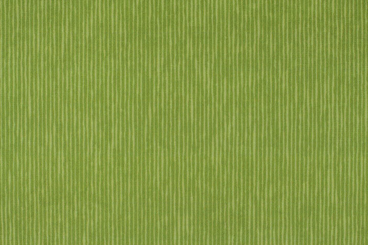 Agon 36369-6520