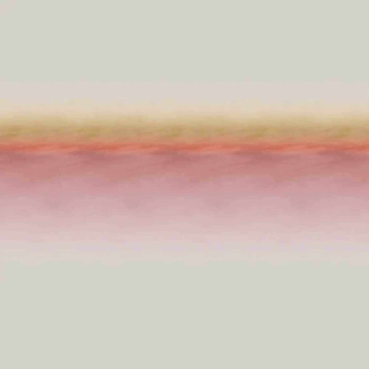 Blush 61000650-2520