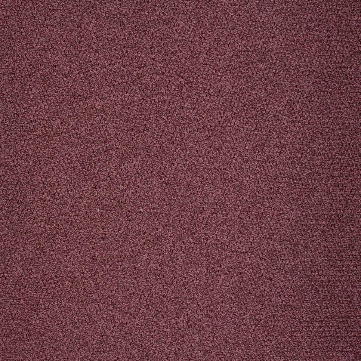 Brooks X 61000637-3550