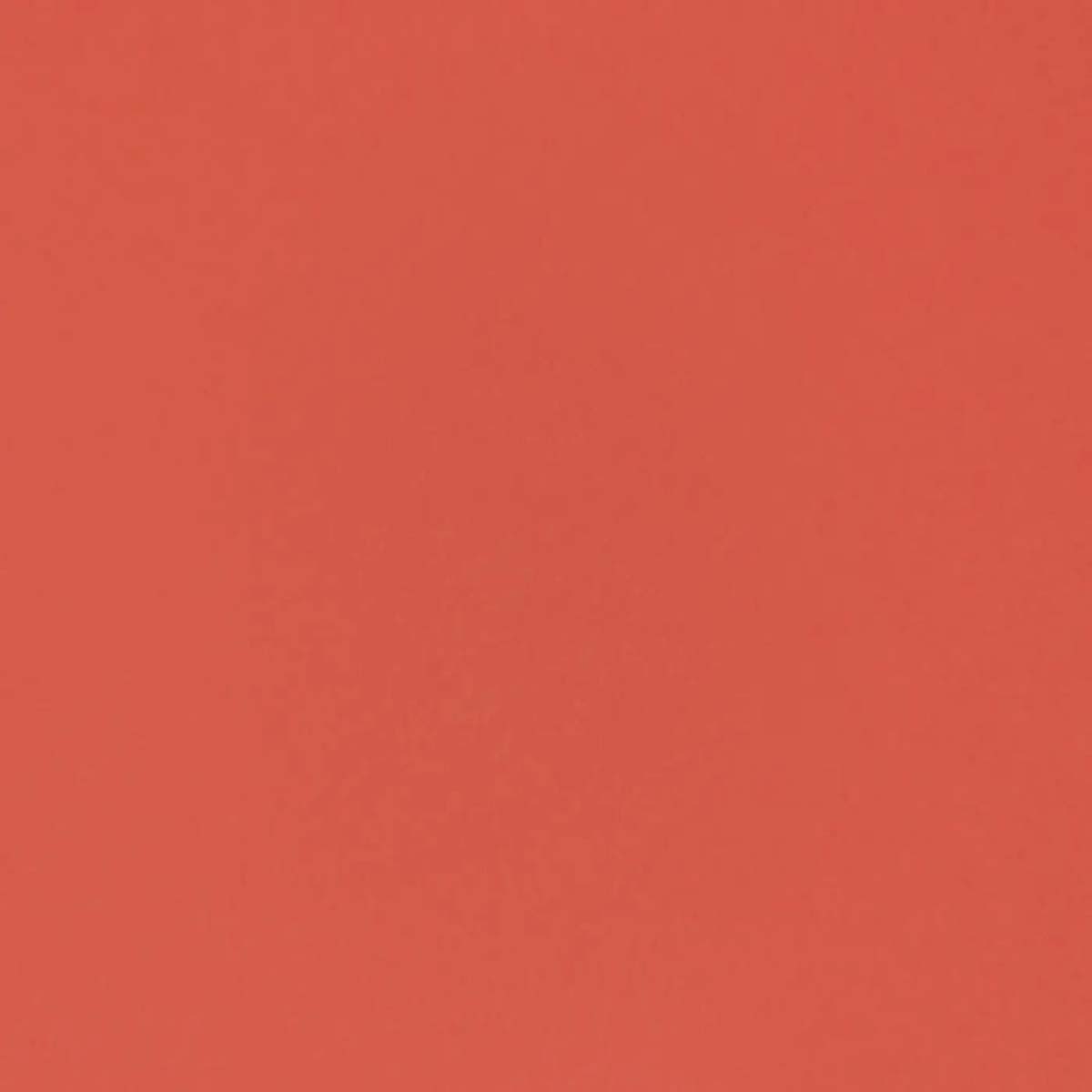 Dimout Delicare 34195_3700