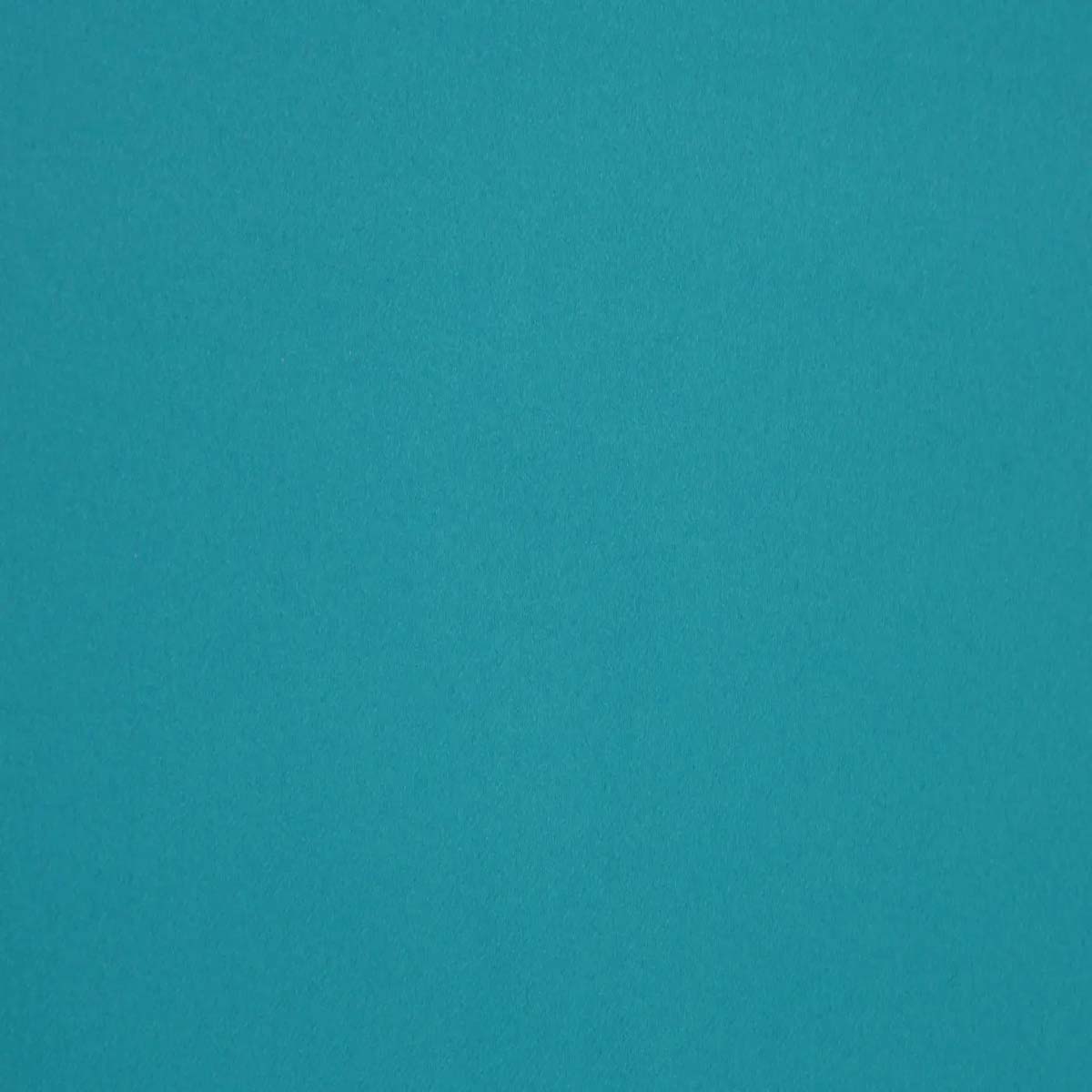 Dimout Delicare 34195_5708