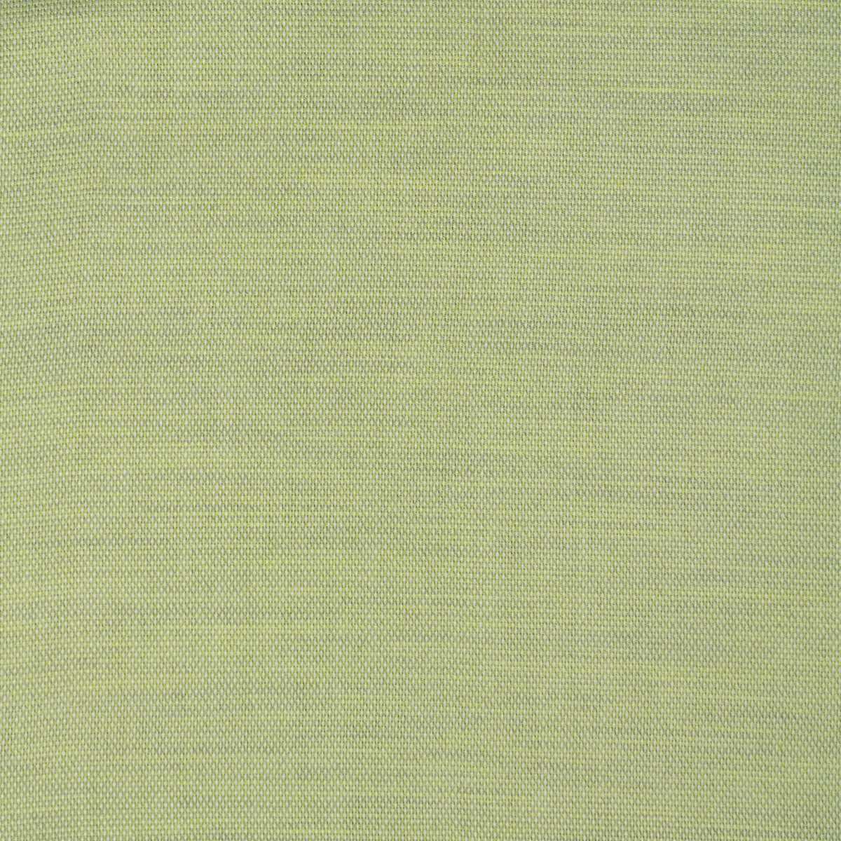 Ecoline Liz 28288-6001