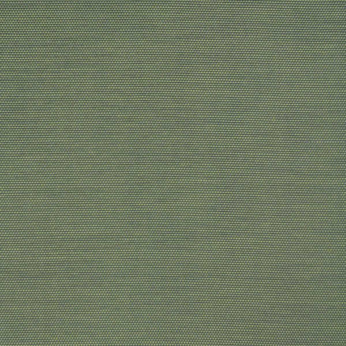 Ecoline Liz 28288-6002