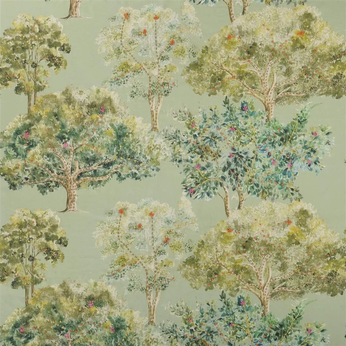Bosquet Sauvage FDG3284-01