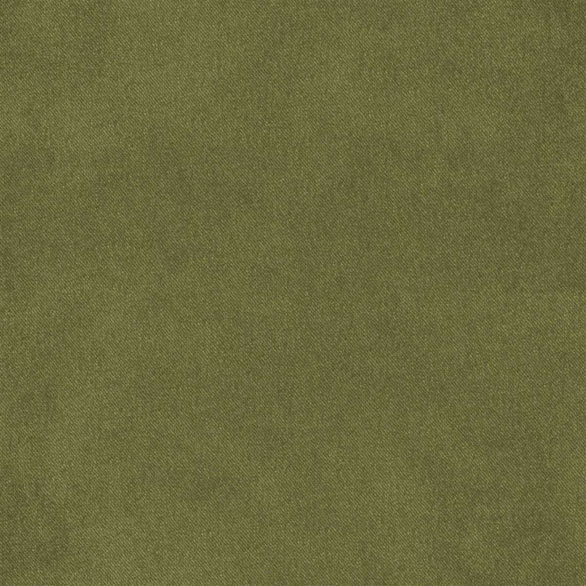 Brinzio FDG3231-25