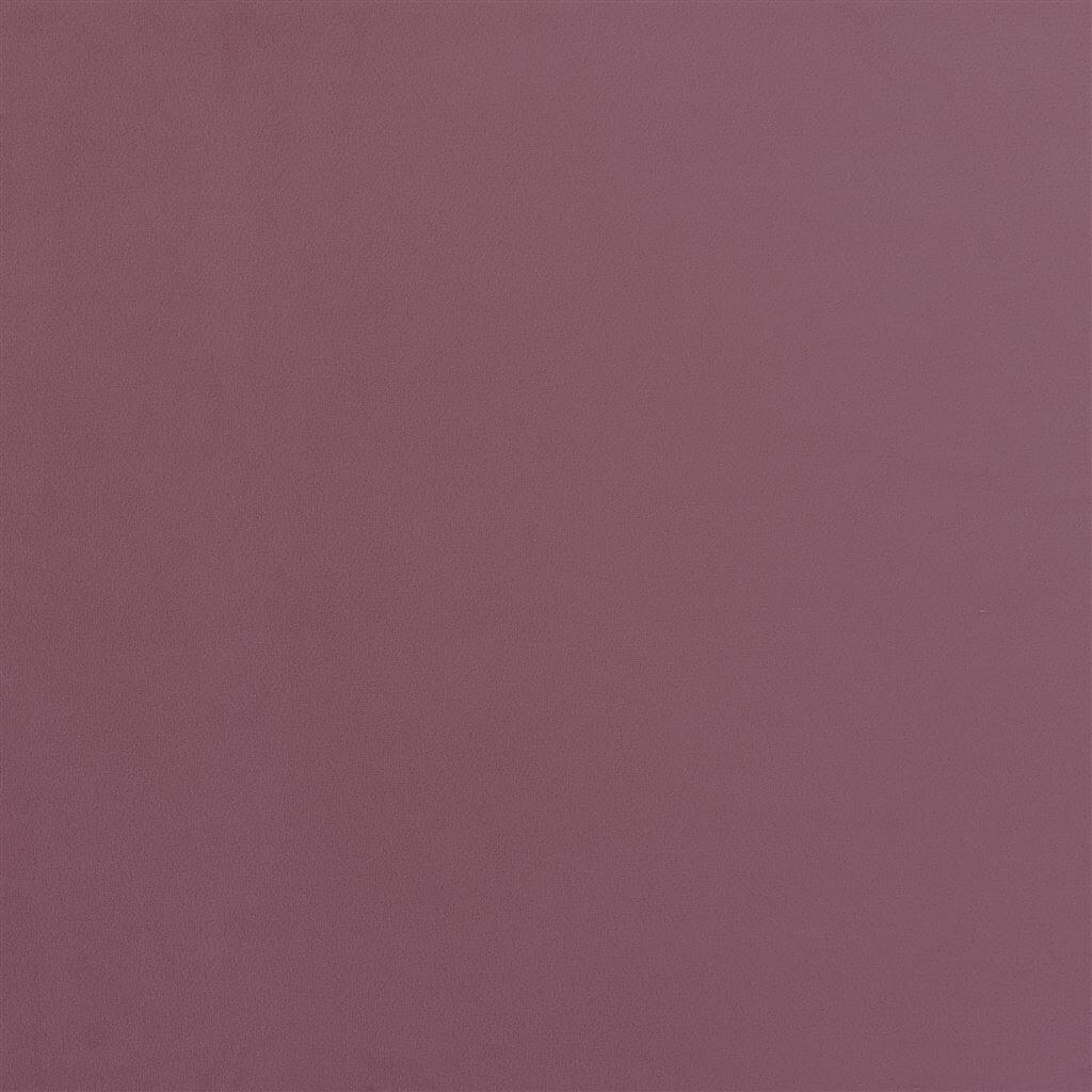 Cameri FDG2944-14
