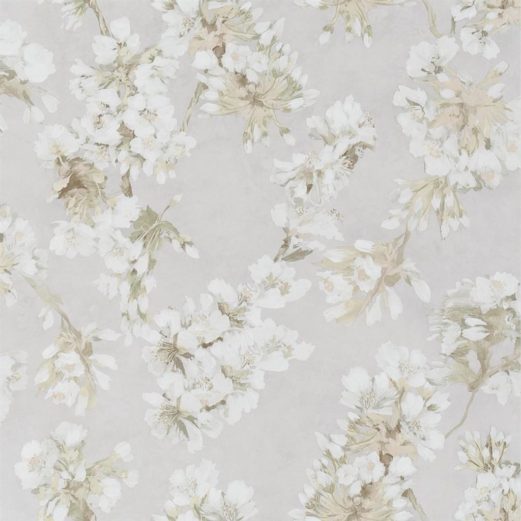 Fleur D Assam PDG1148-01