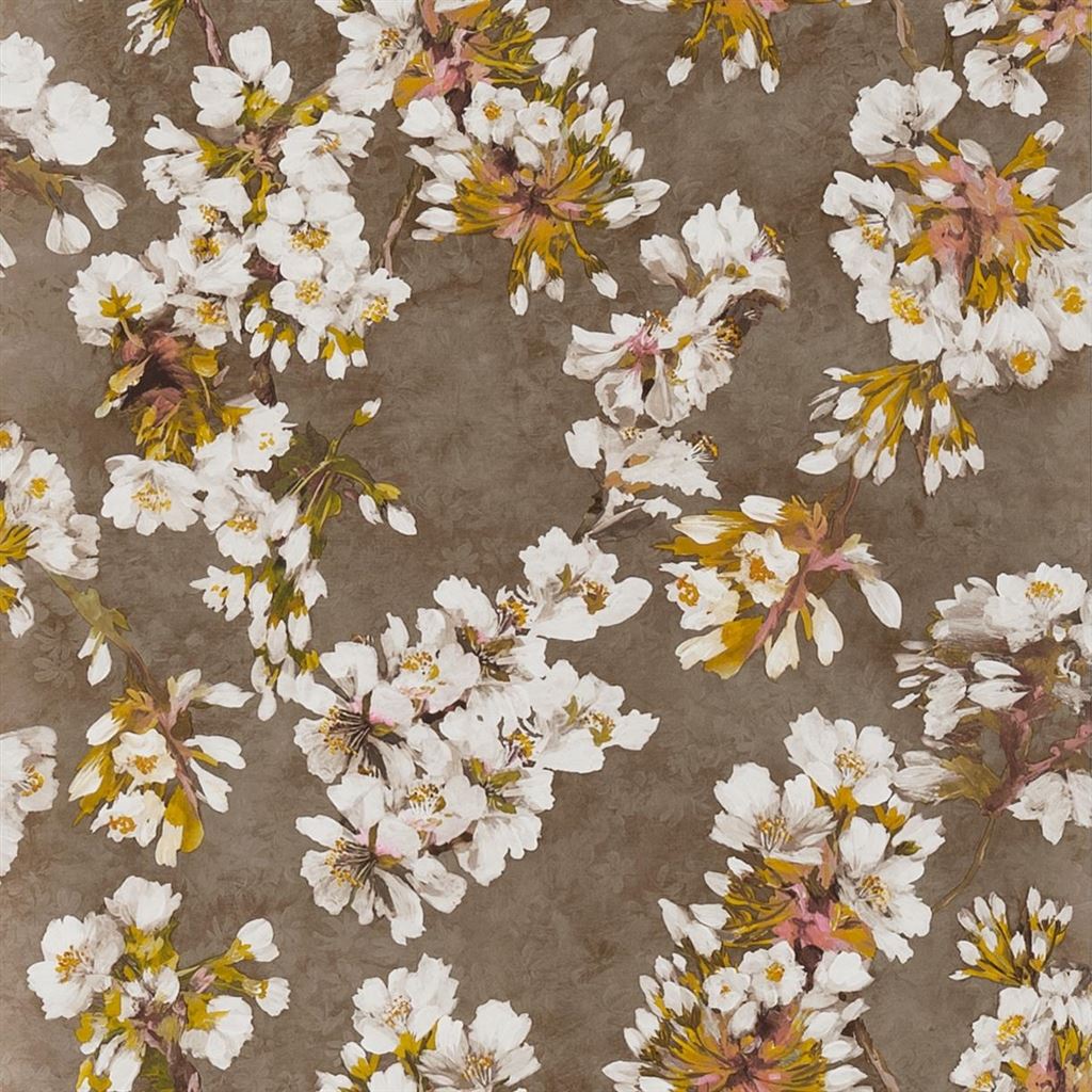 Fleur D Assam PDG1148-03