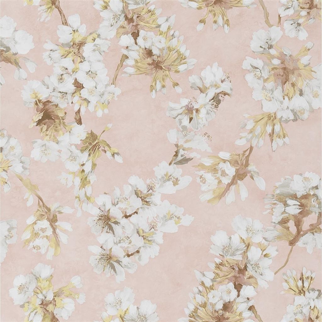 Fleur D Assam PDG1148-04