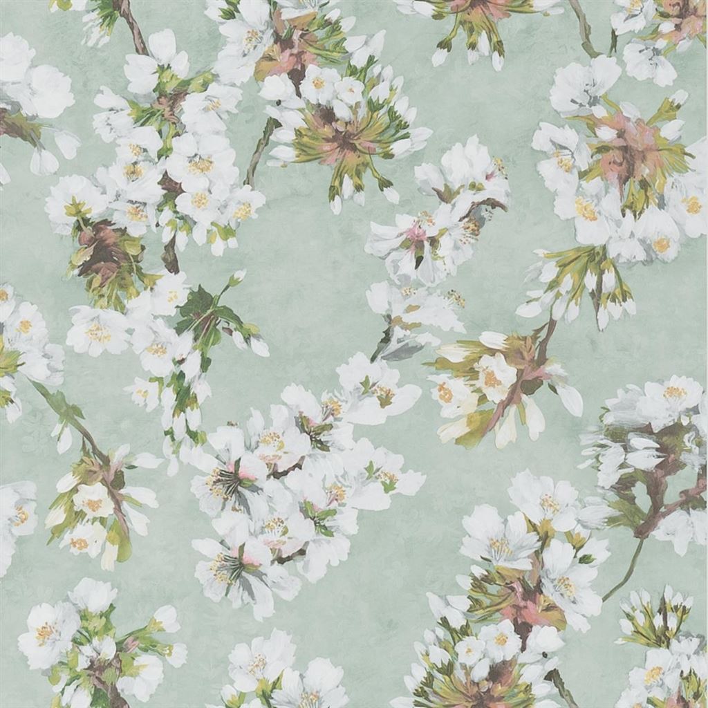 Fleur D Assam PDG1148-05