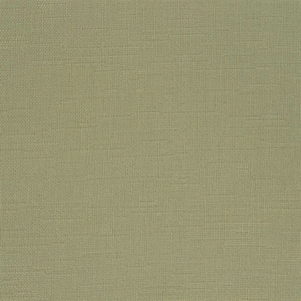 Foligno FT1461-01