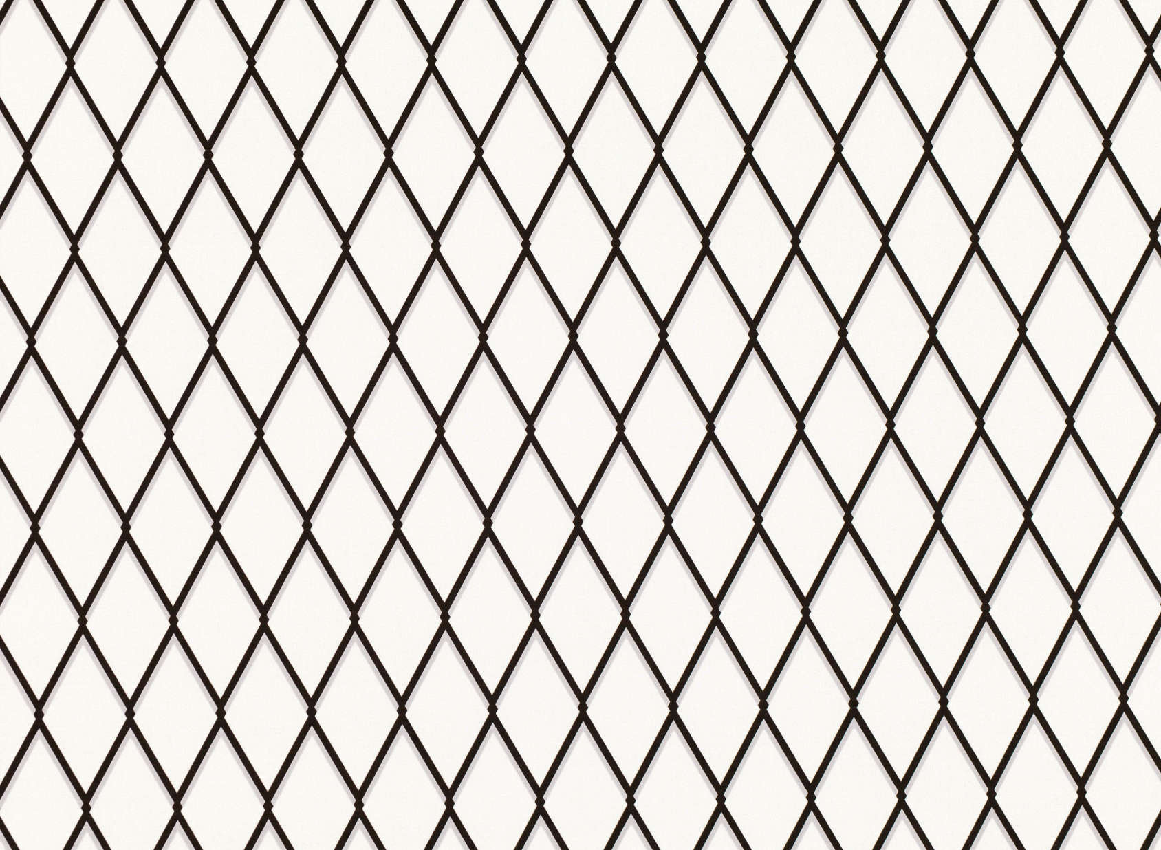 Diamond Monochrome K5203-04