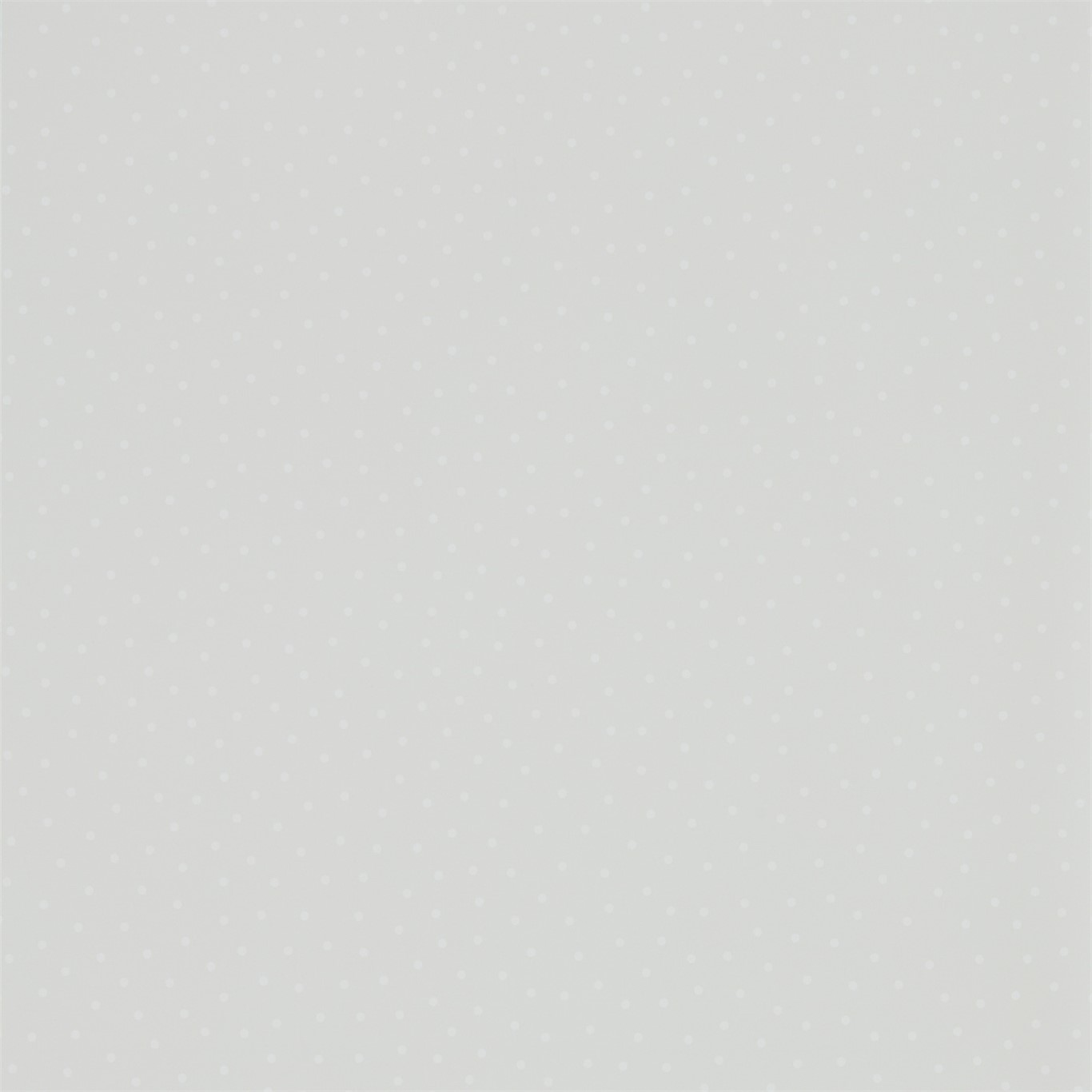 Dorothy 216382