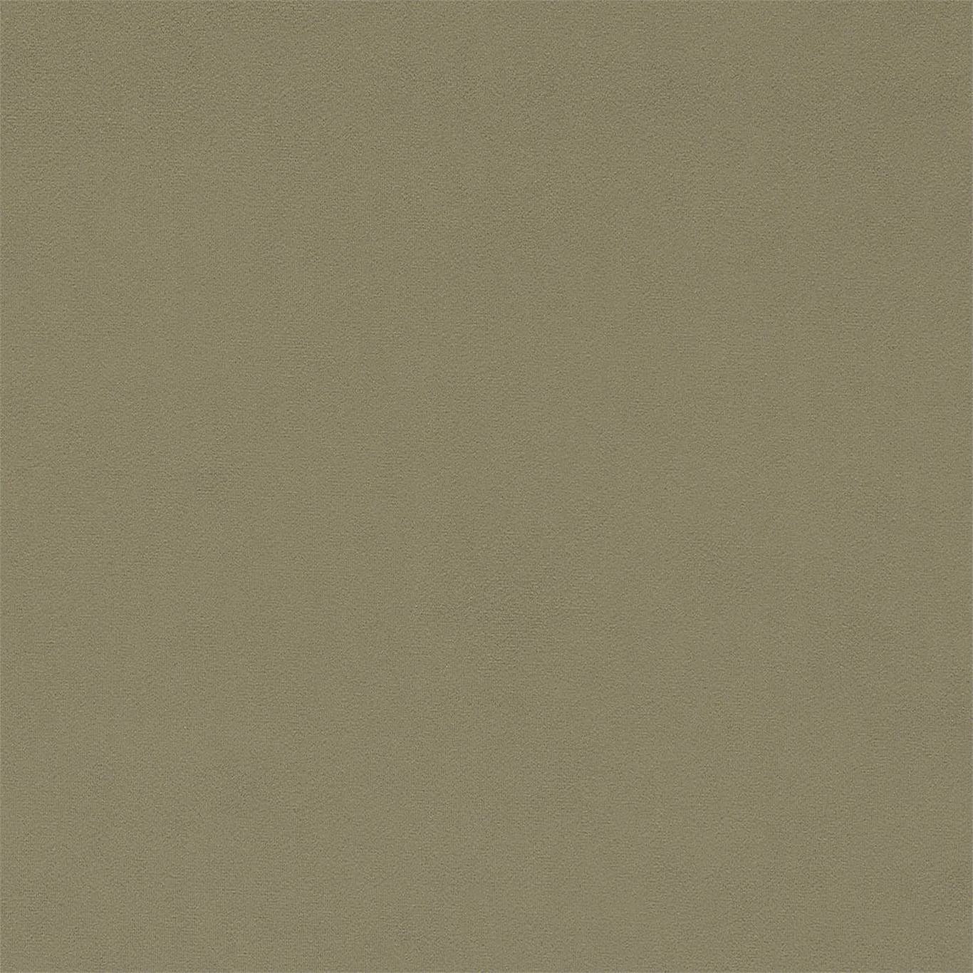 Dorton 237007