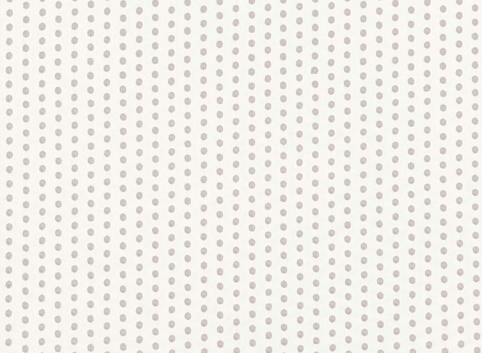 Dotty V3319-01