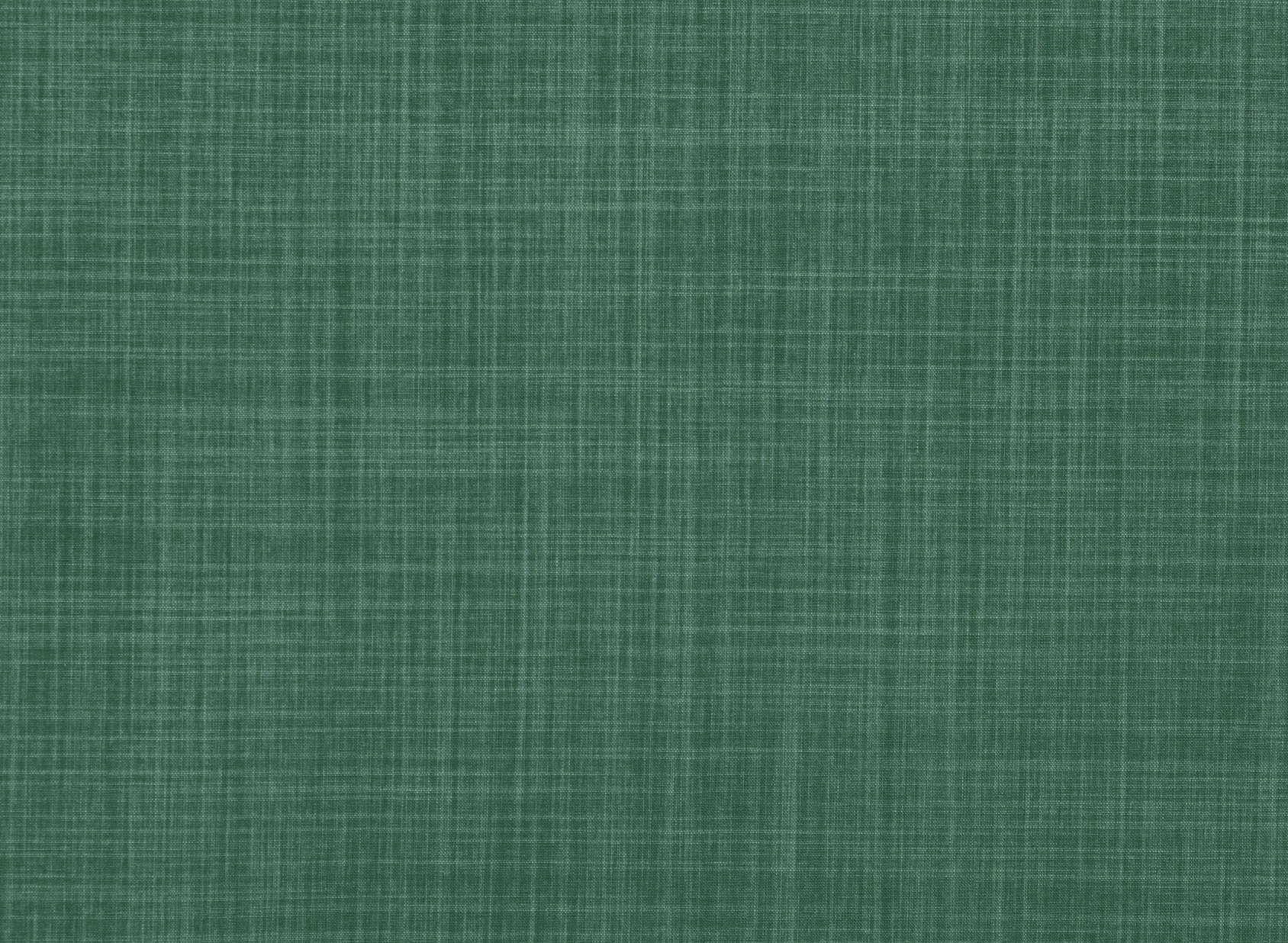 Dune Ivy 7902-48