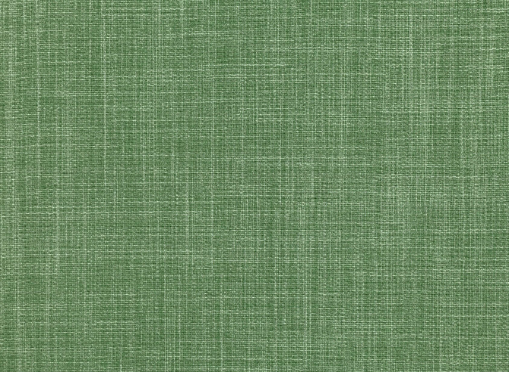 Dune Thyme 7902-01