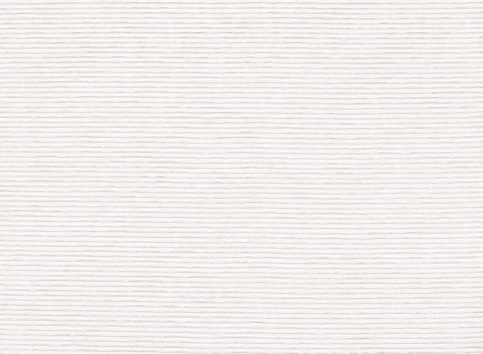 Dylan Moonbeam Z504-01