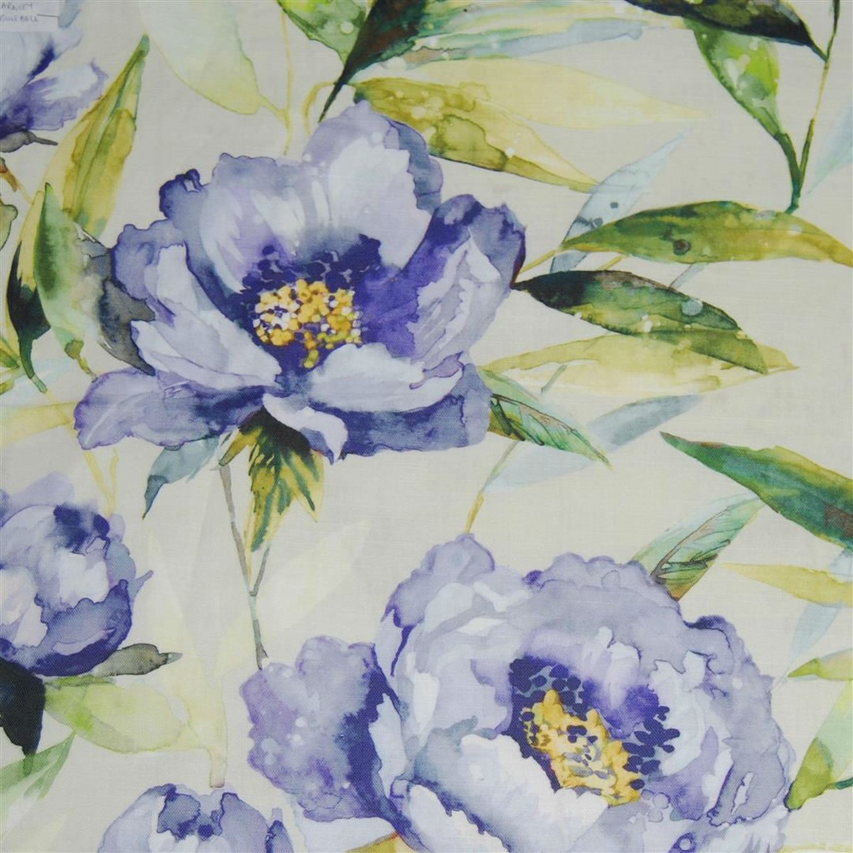Earnley Bluebell