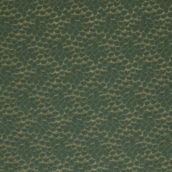 Ecaille De Chin 4254-02