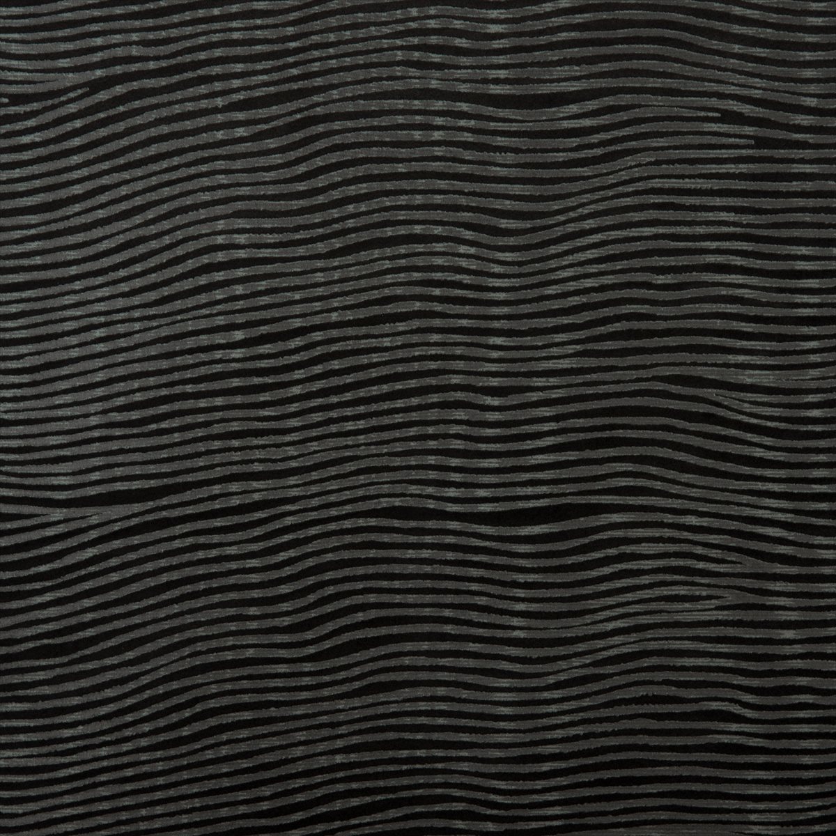 Echo 10345-019
