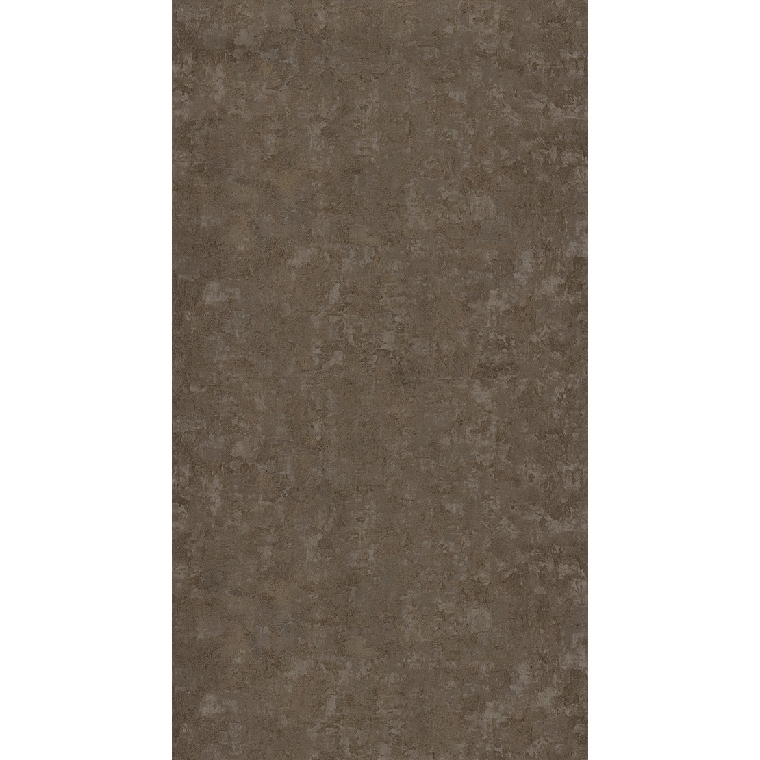 Ecorces SCOL 2916 31 22