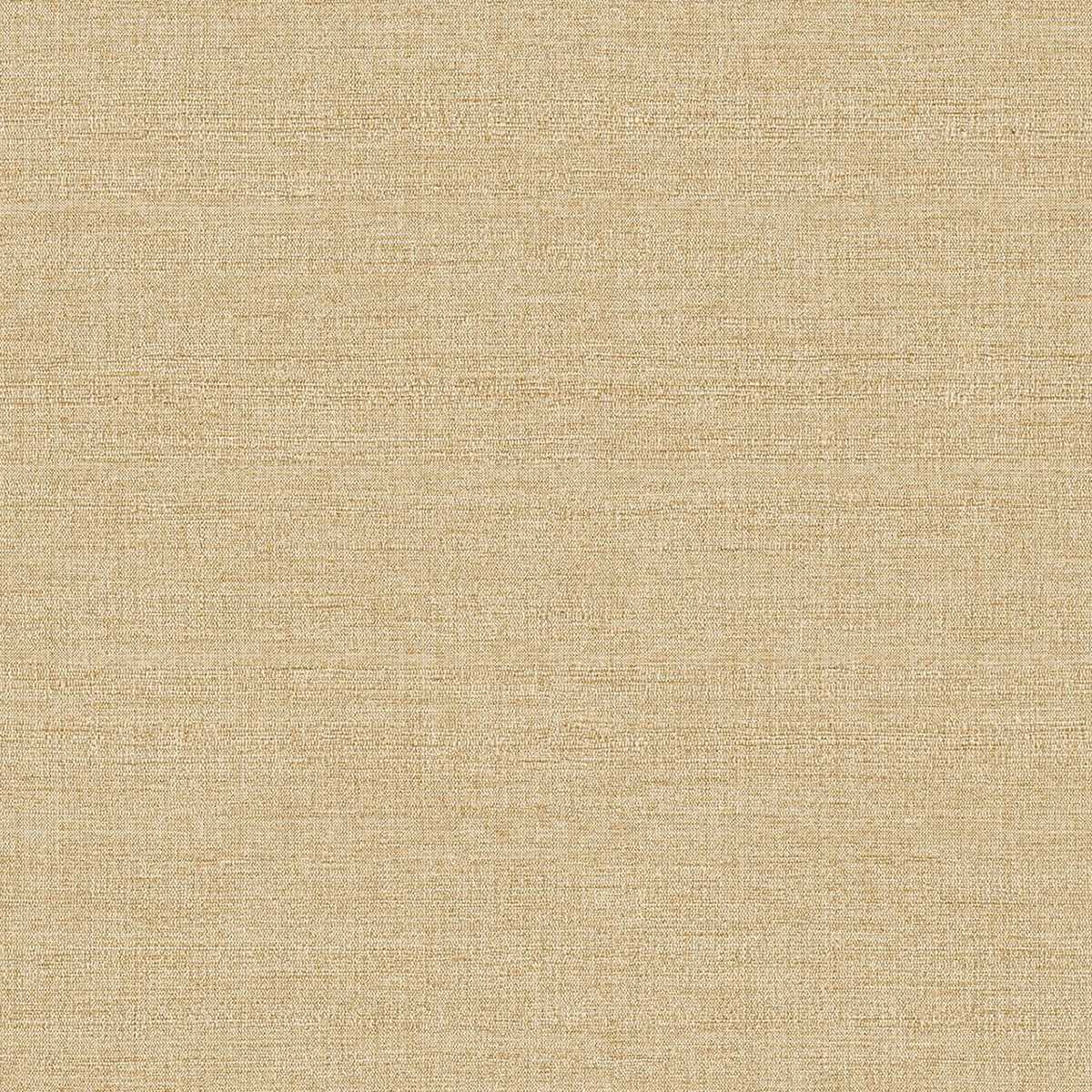 Amber 350632