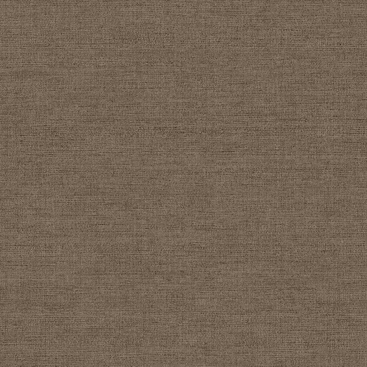 Amber 350635