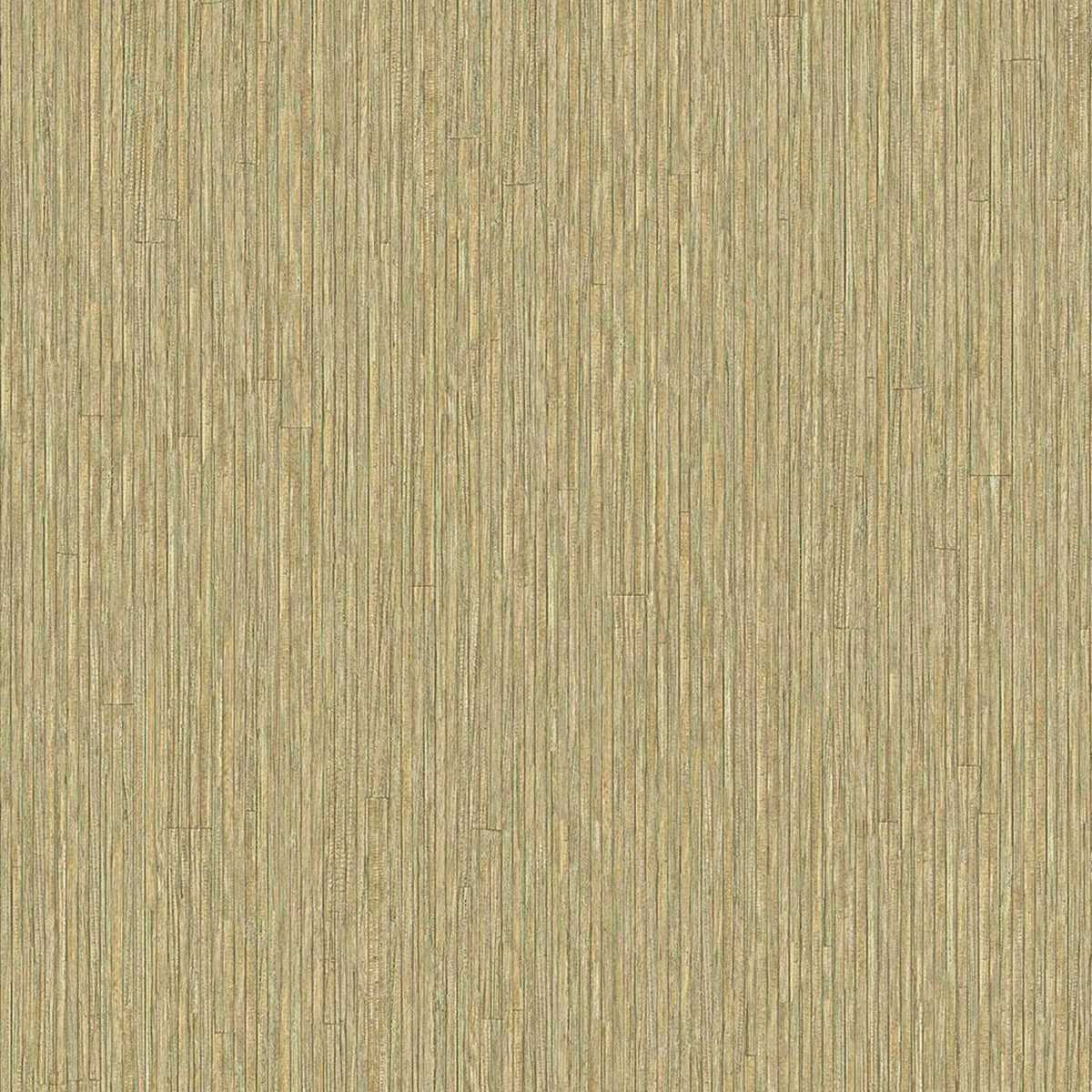 Anam 350951