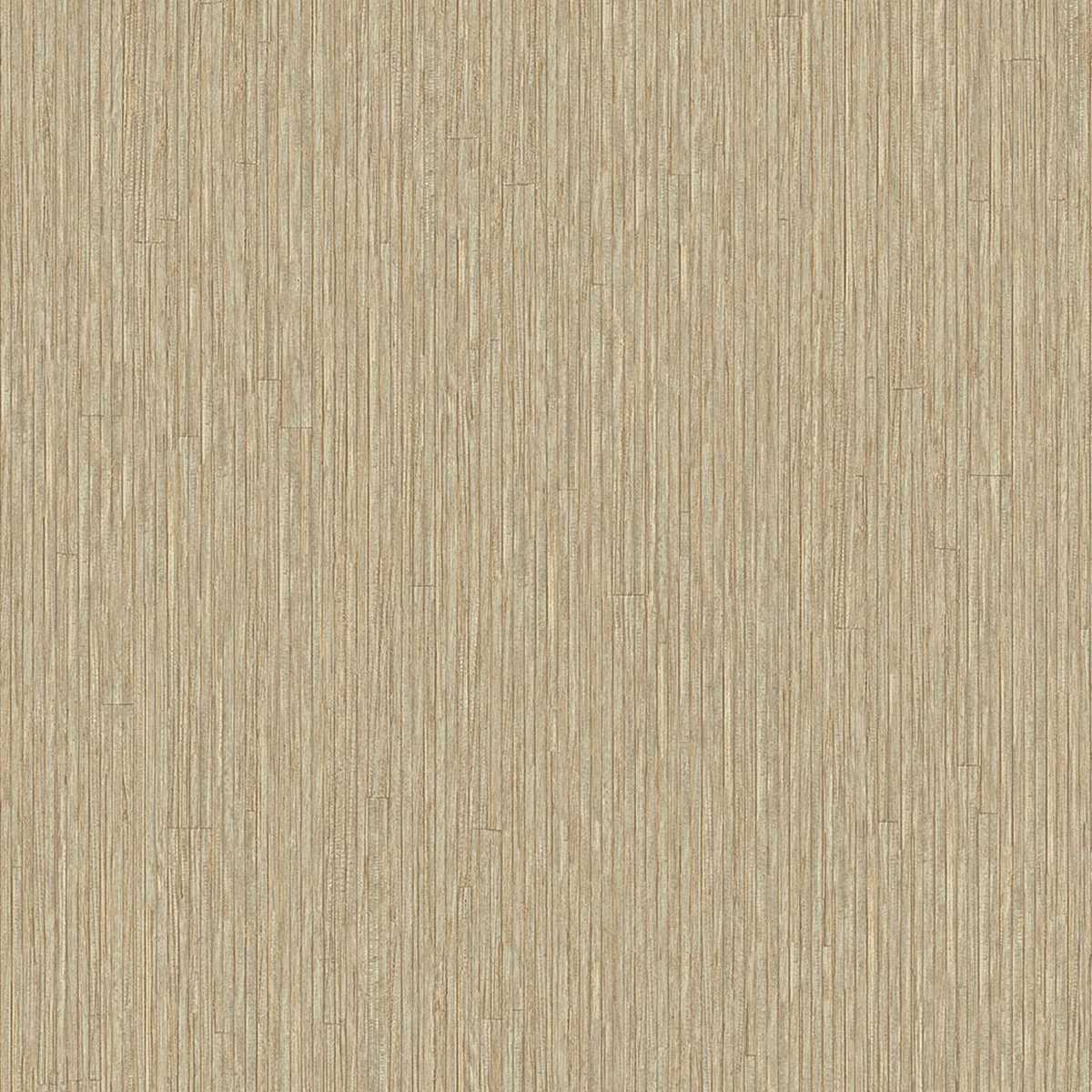 Anam 350956