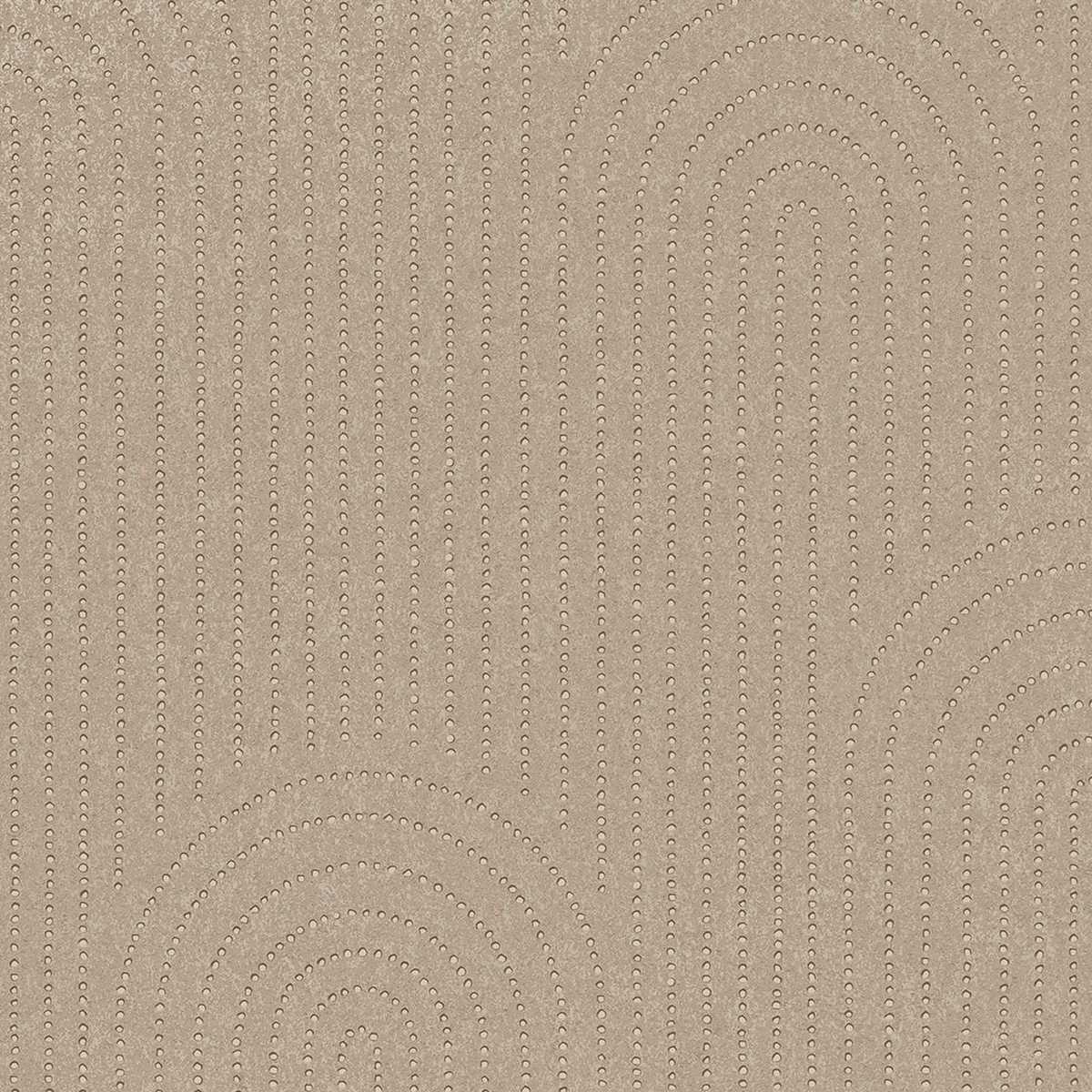 Artifact 312432
