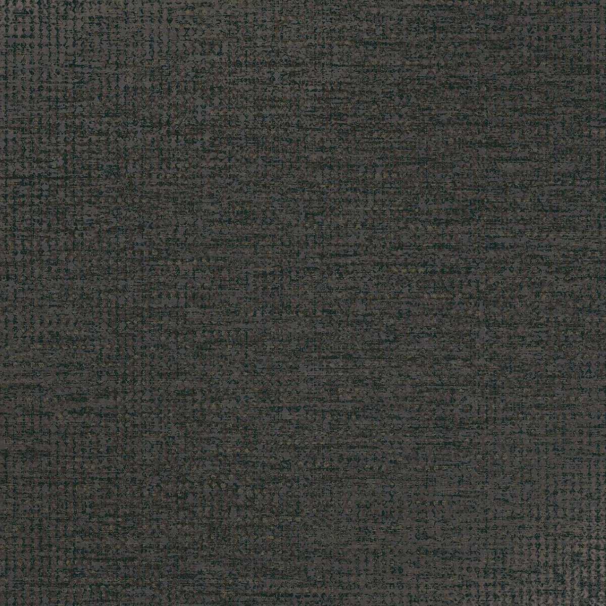 Artifact 312456