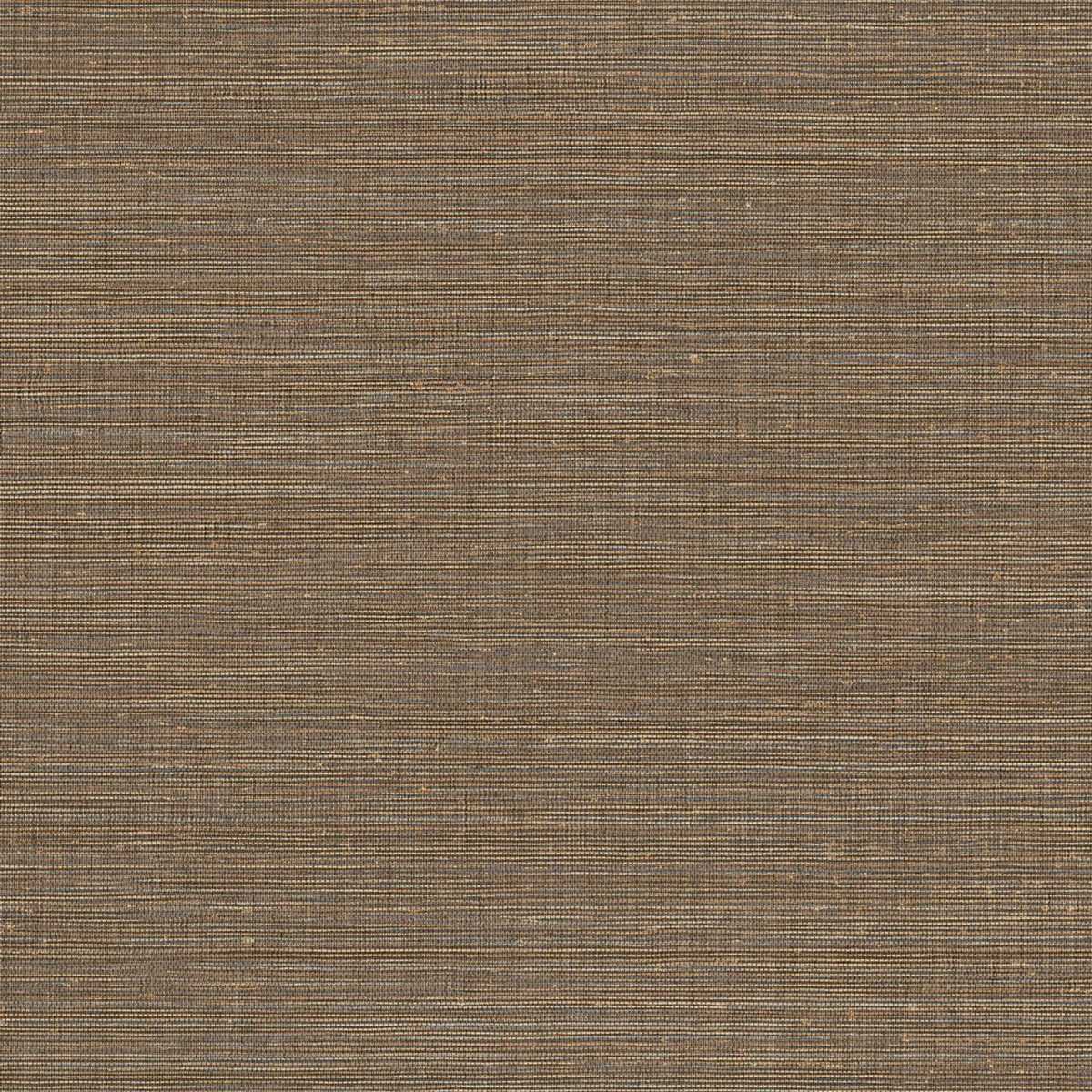 Canvas 313503