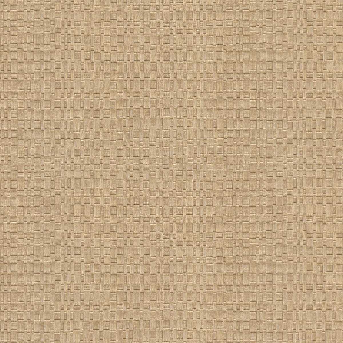 Canvas 313534