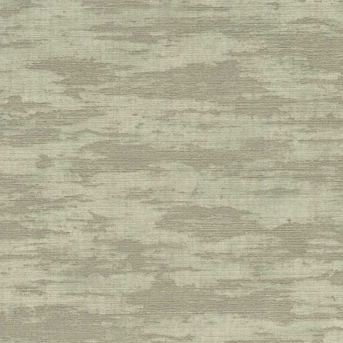 Canvas 313545