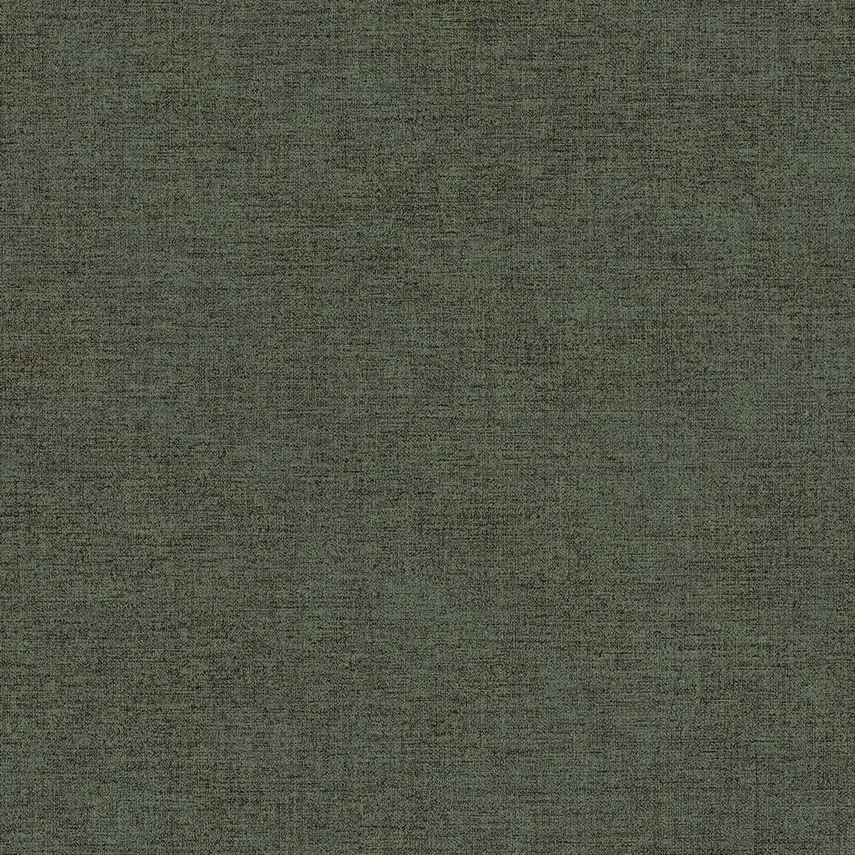 Canvas 313556