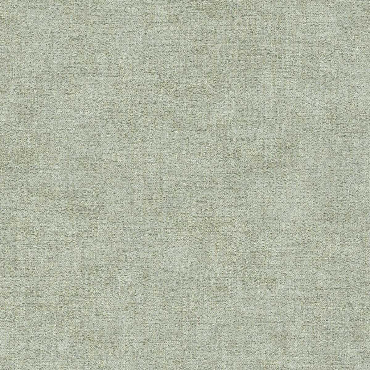 Canvas 313557