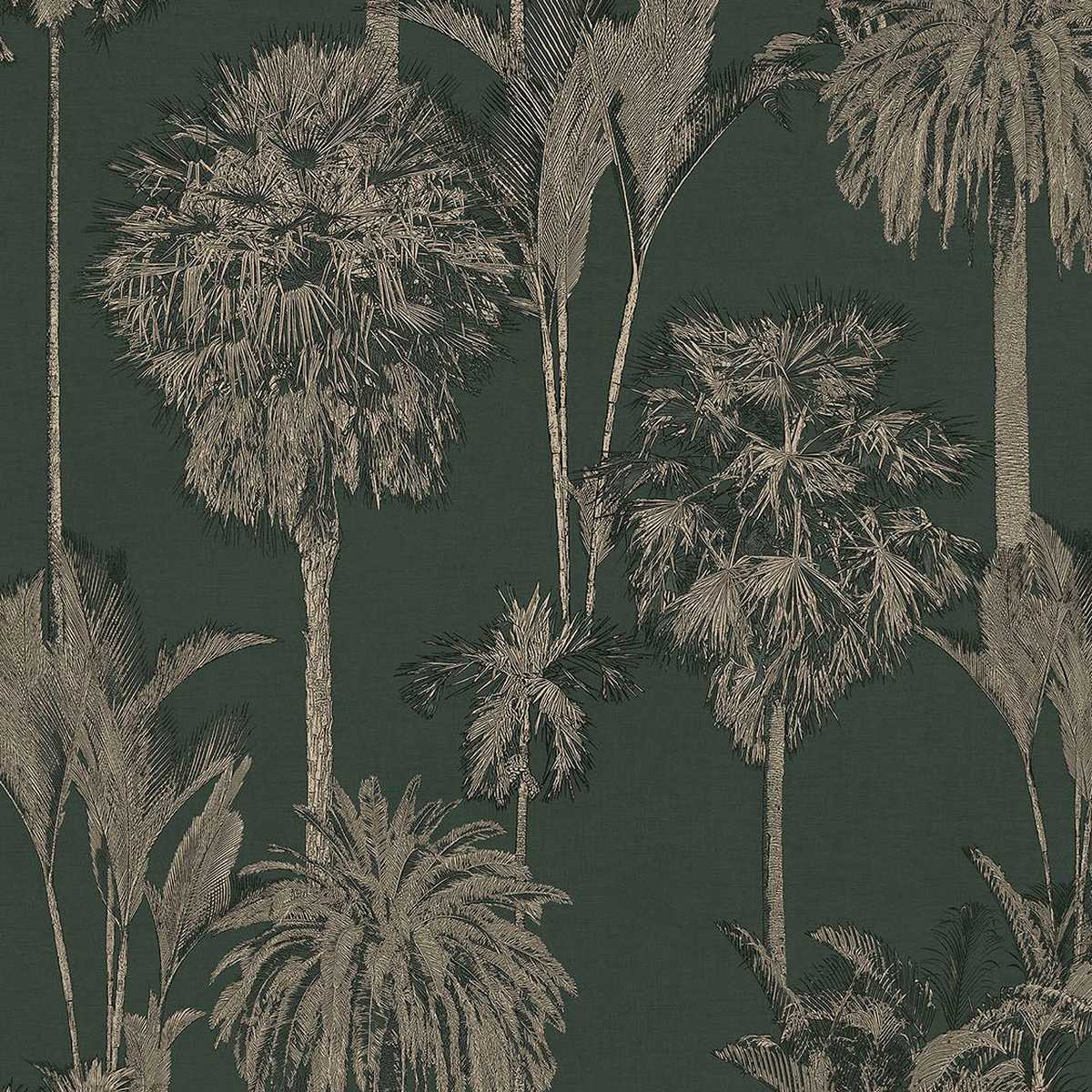 Oasis 317320