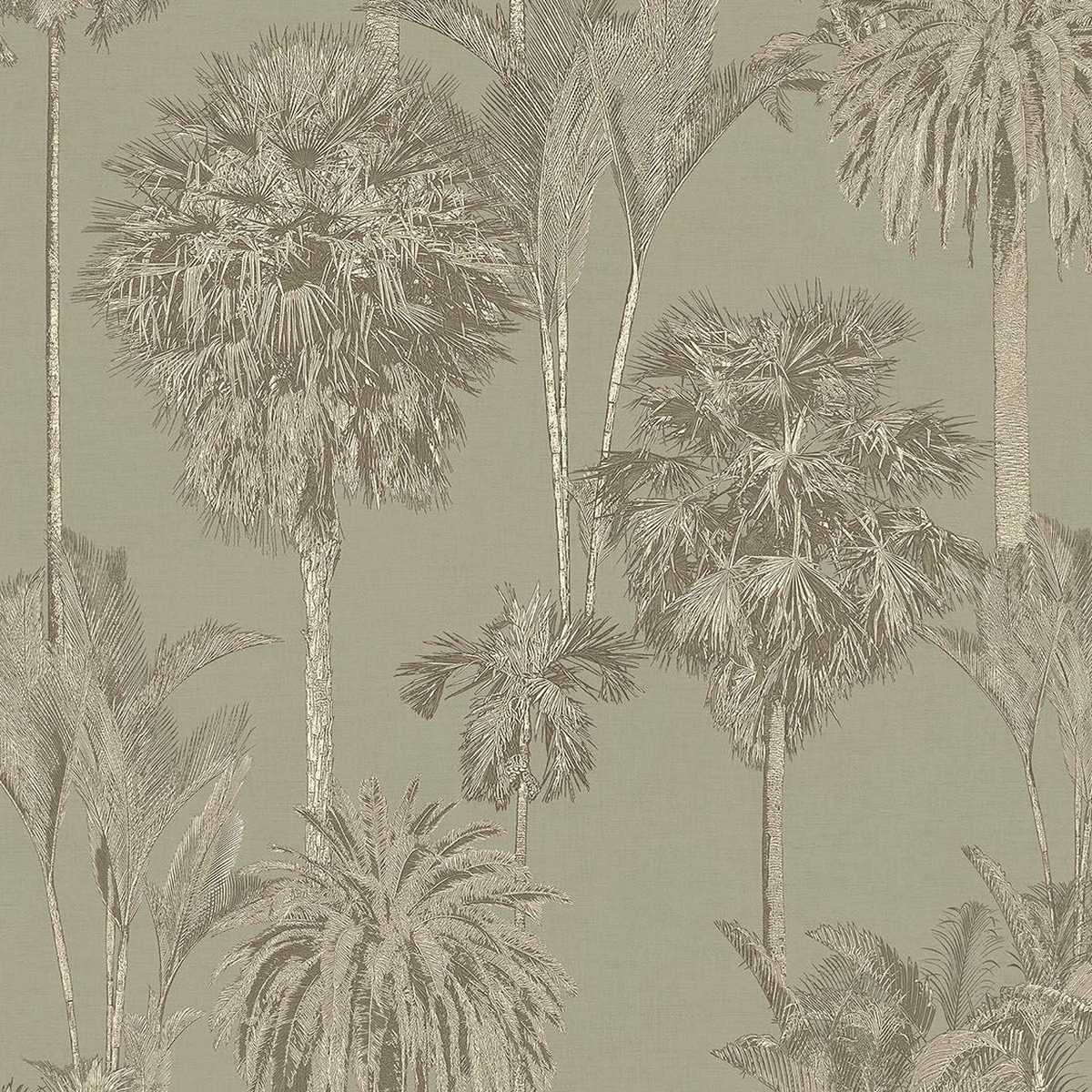 Oasis 317324