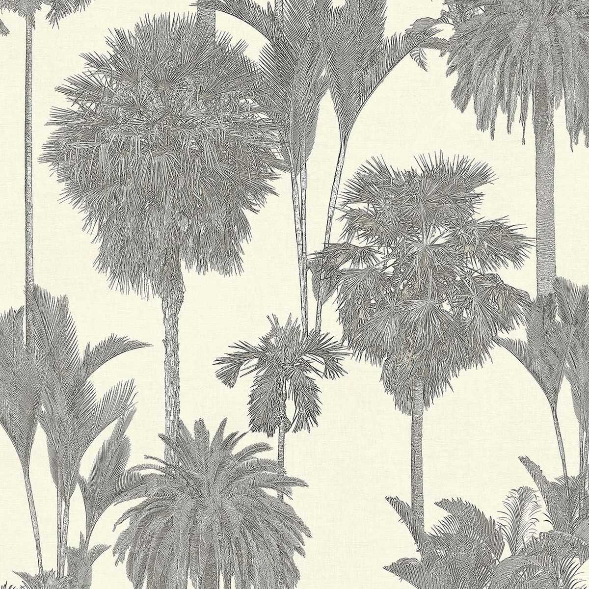 Oasis 317326
