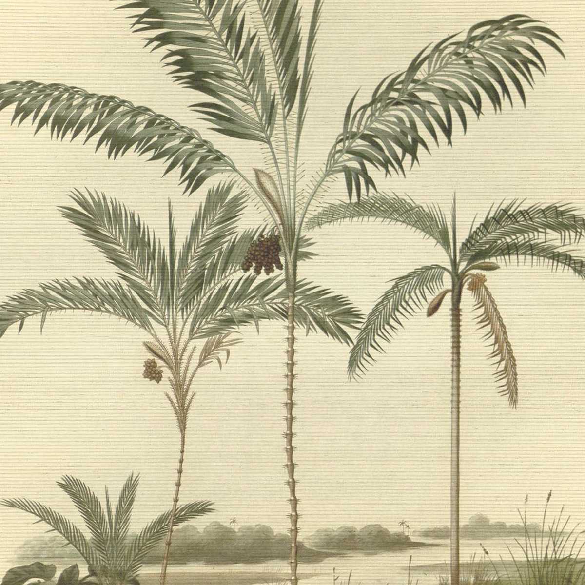 Oasis 317406
